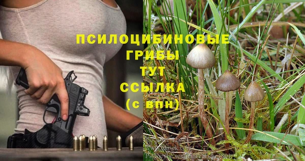 круглые Осинники