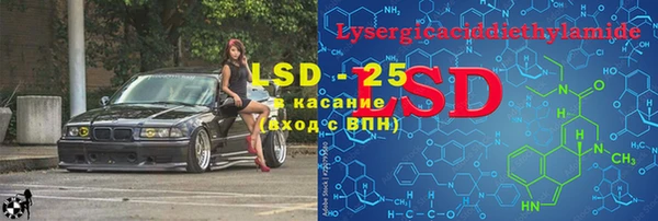 круглые Осинники