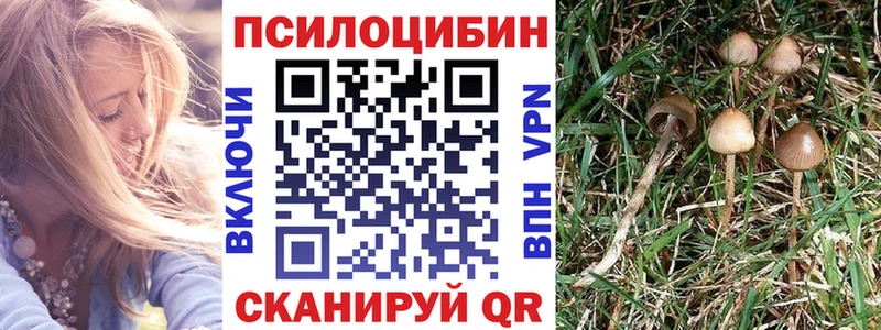 Галлюциногенные грибы прущие грибы  Слюдянка 